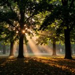 Летняя прогулка по паркам региона КМВ